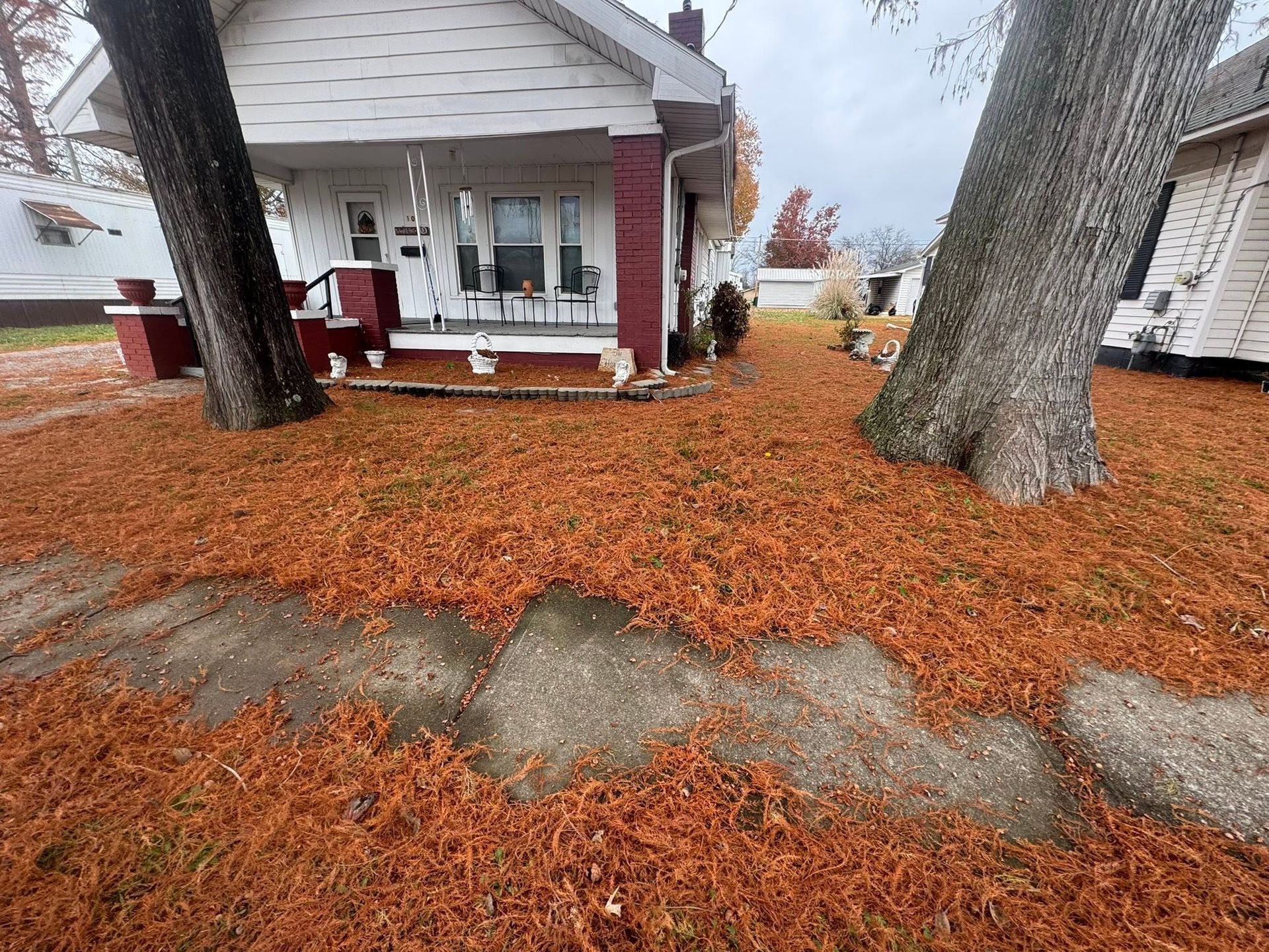 Fall yard covered in orange leaves beside a white house with red trim and large trees