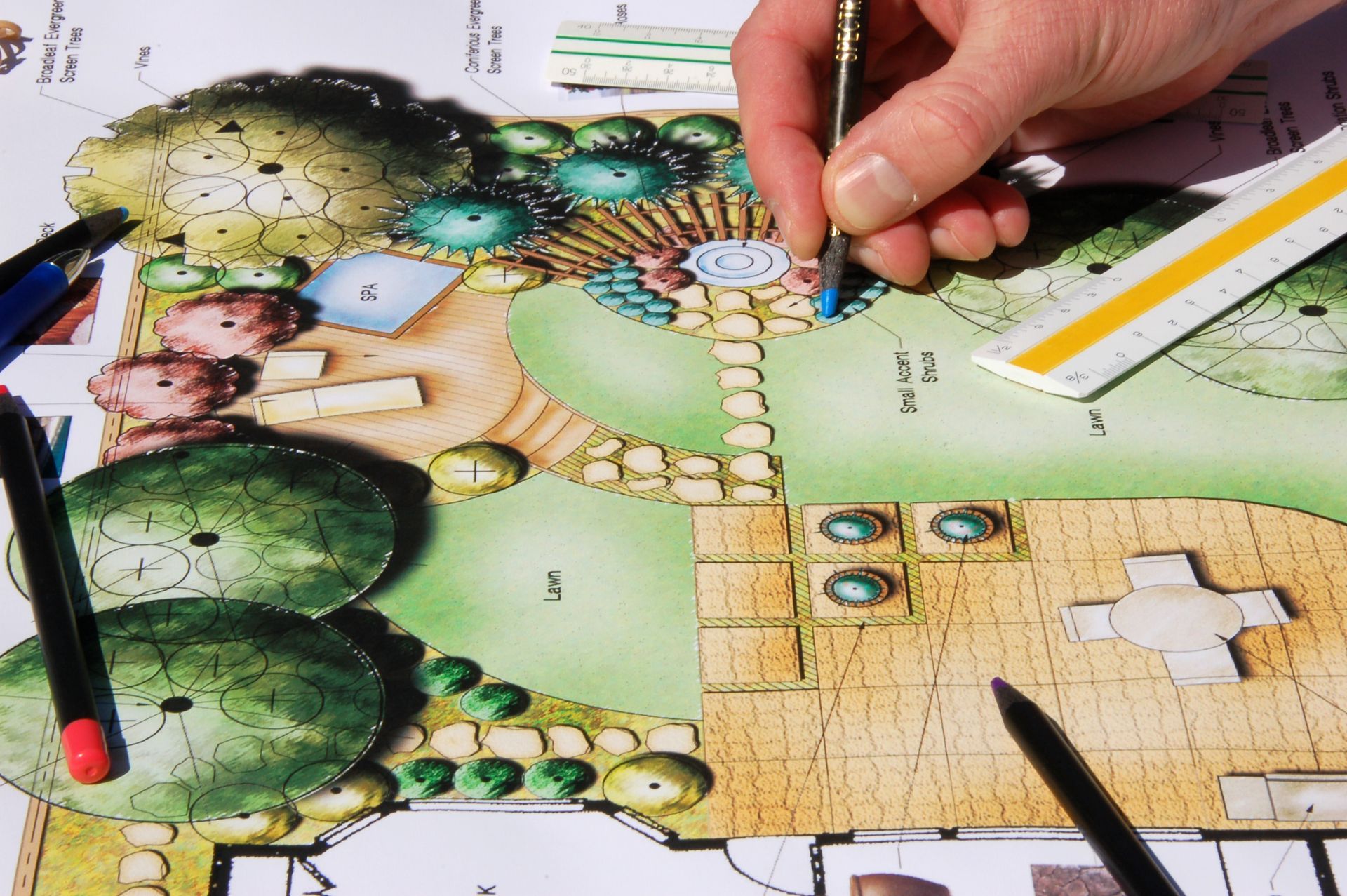 Hand placing a game piece on a colorful board game with trees and pathways