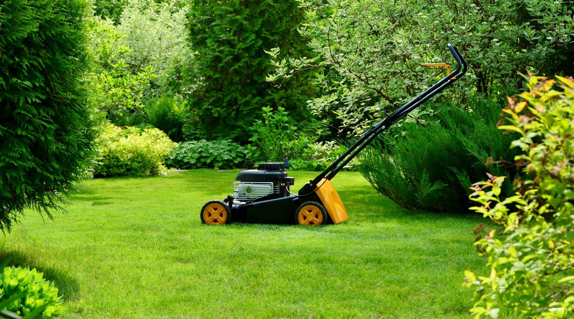 Lawn mower on a lush green lawn, surrounded by dense garden shrubs and trees