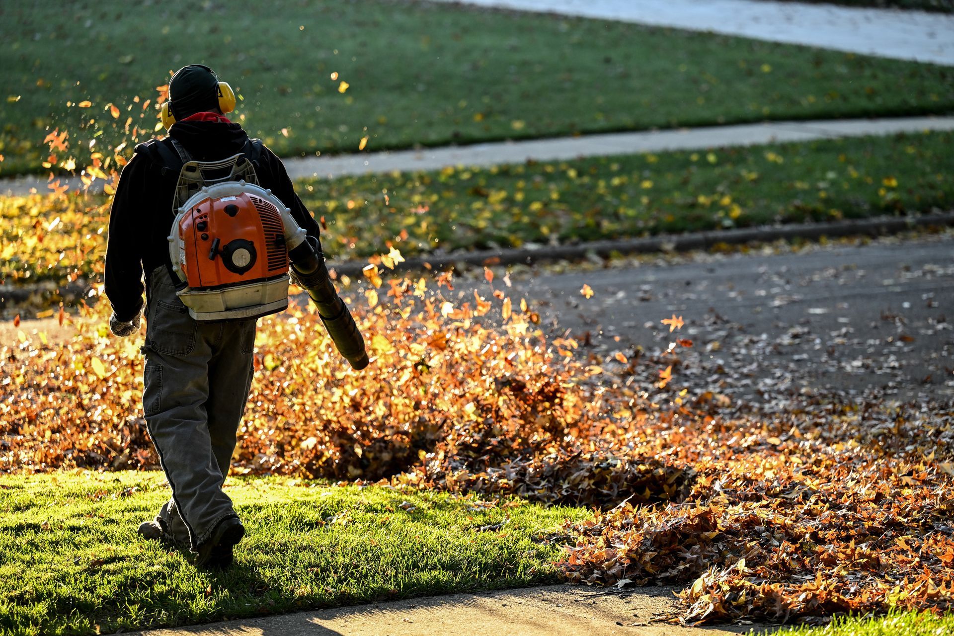 Person using a leaf blower clears autumn leaves from a sidewalk and grassy edge.