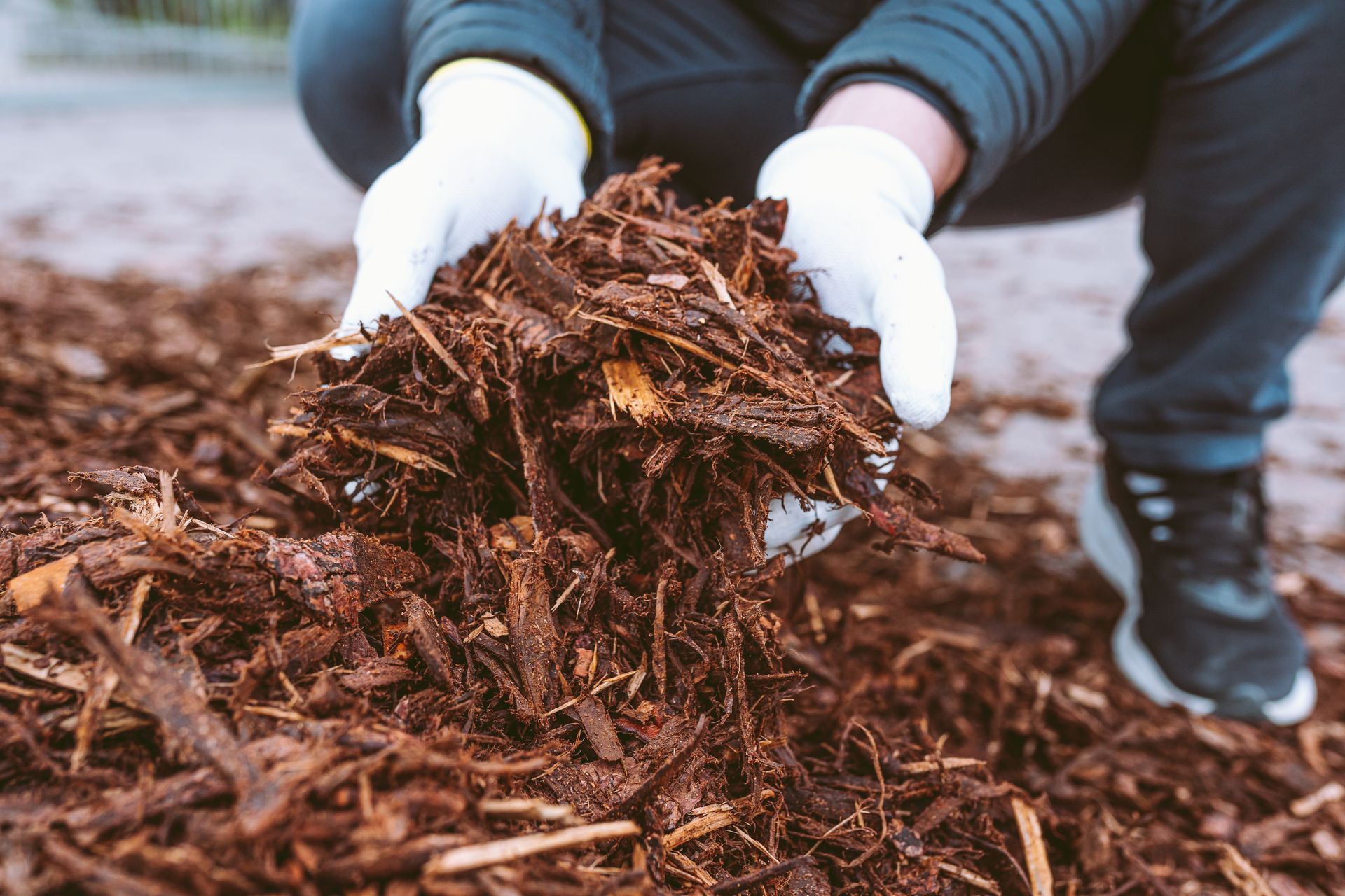 Gloved hands holding a pile of brown mulch outdoors