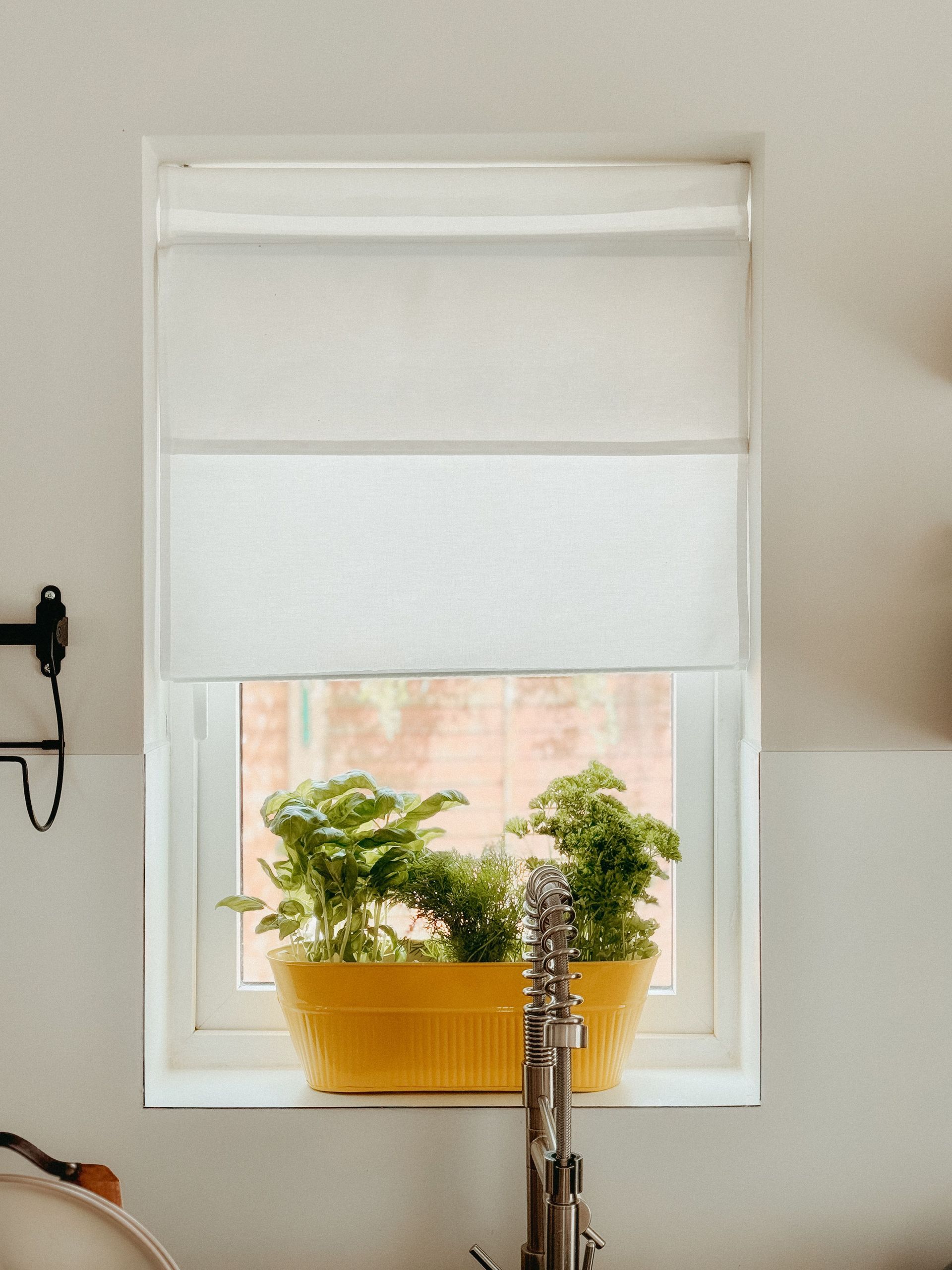White window shade above a window with a yellow planter of green herbs on the sill
