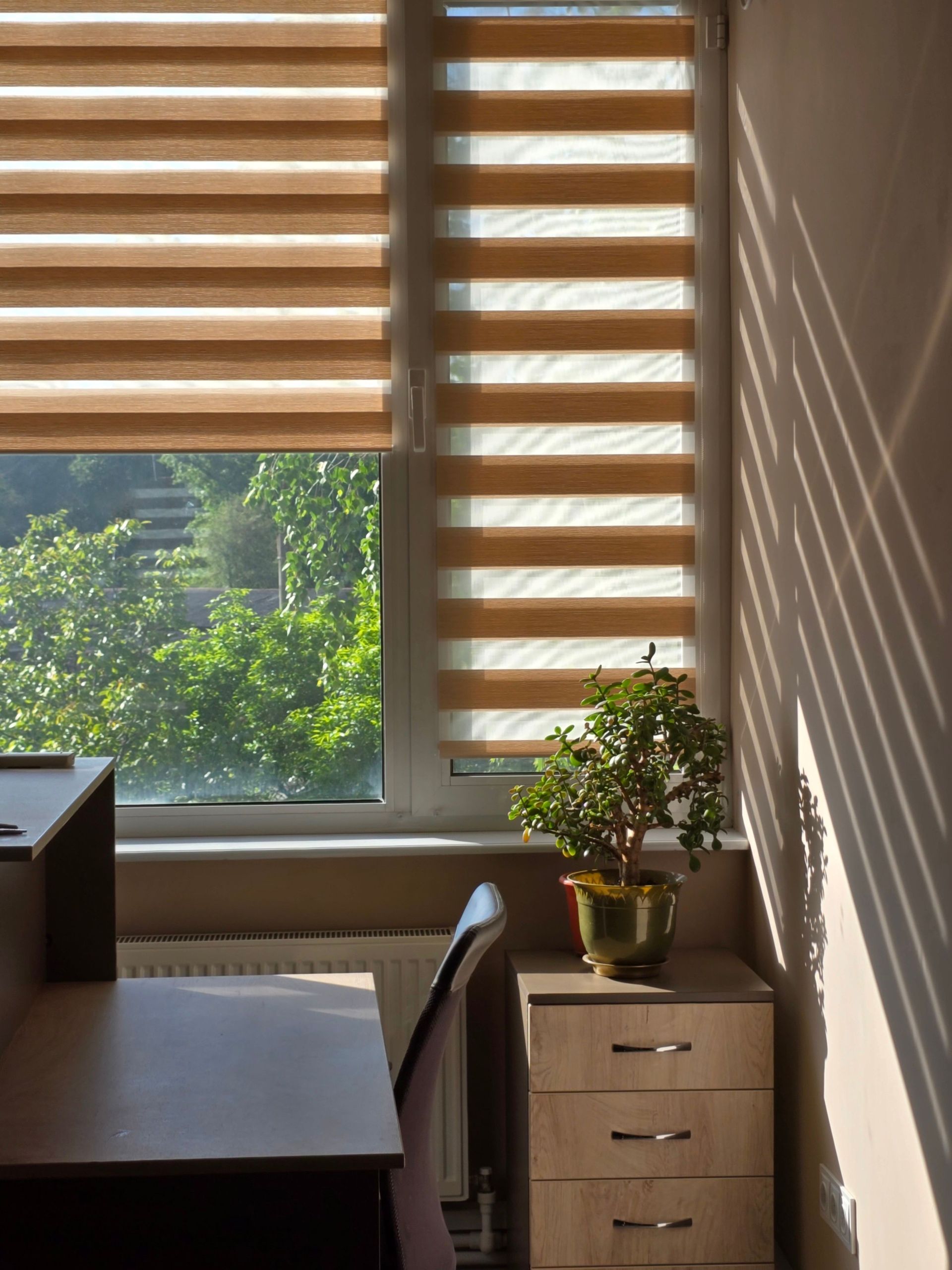 Sunlit office corner with striped blinds, desk, chair, drawers, and a small potted plant.