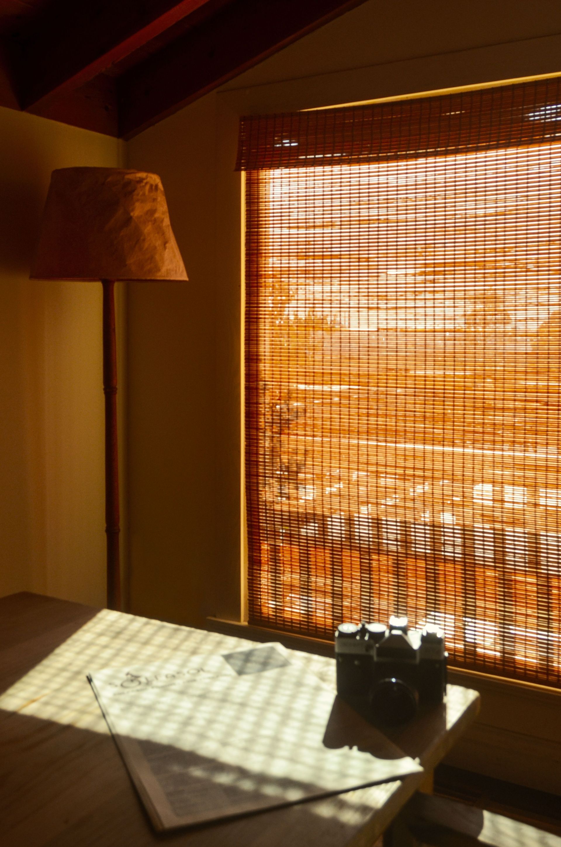 Sunlit room with bamboo blinds, floor lamp, and a table with a camera near the window.