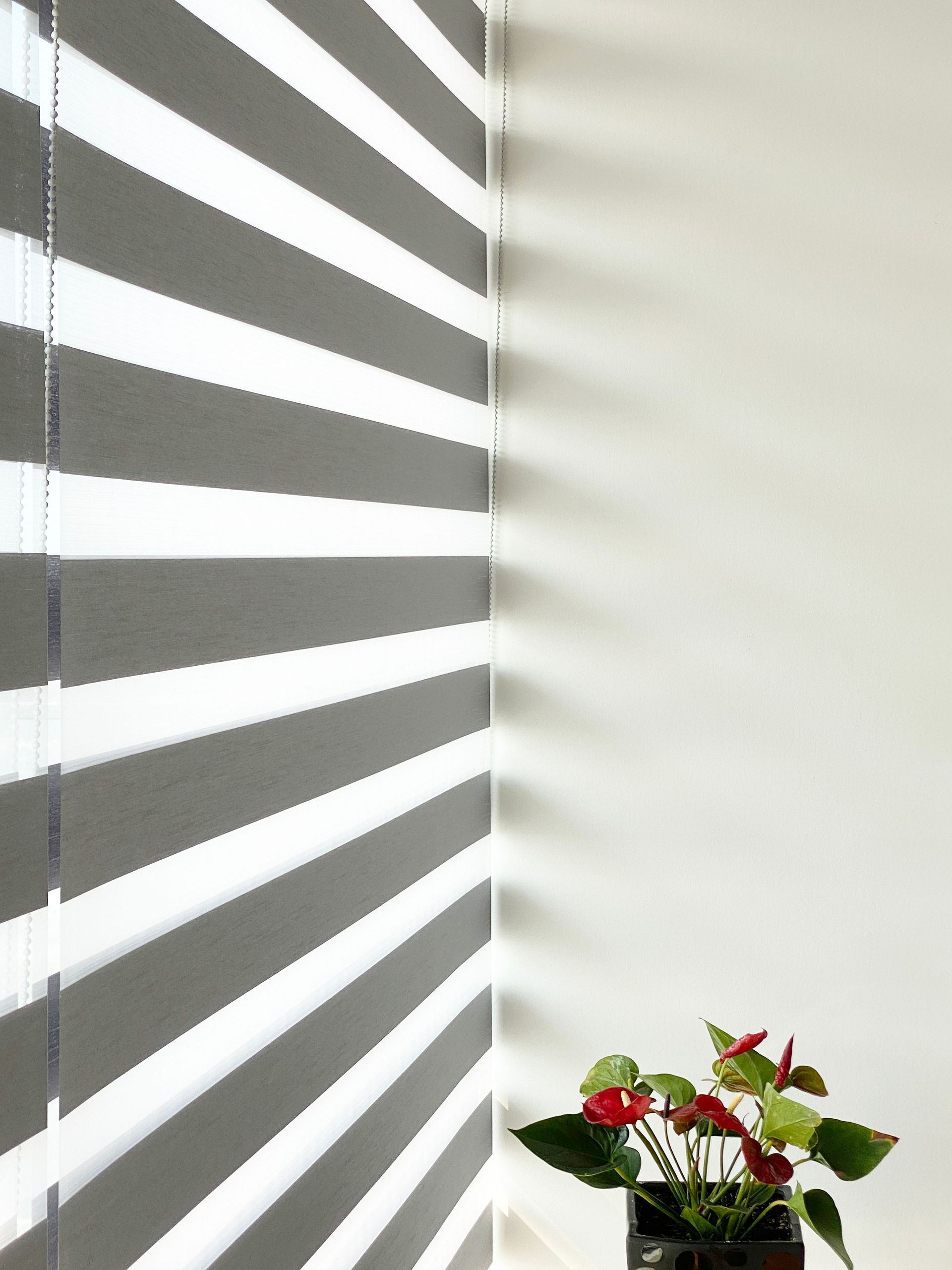 White window blinds casting striped shadows on a wall, with a small potted plant on a table below