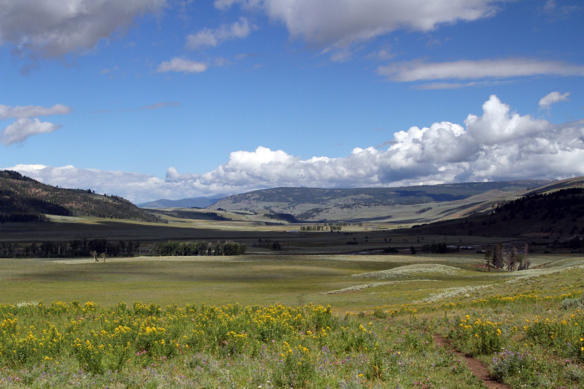 The open prairie of the Lamar Valley is flanked by the majestic mountains along Yellowstone's northern borders.