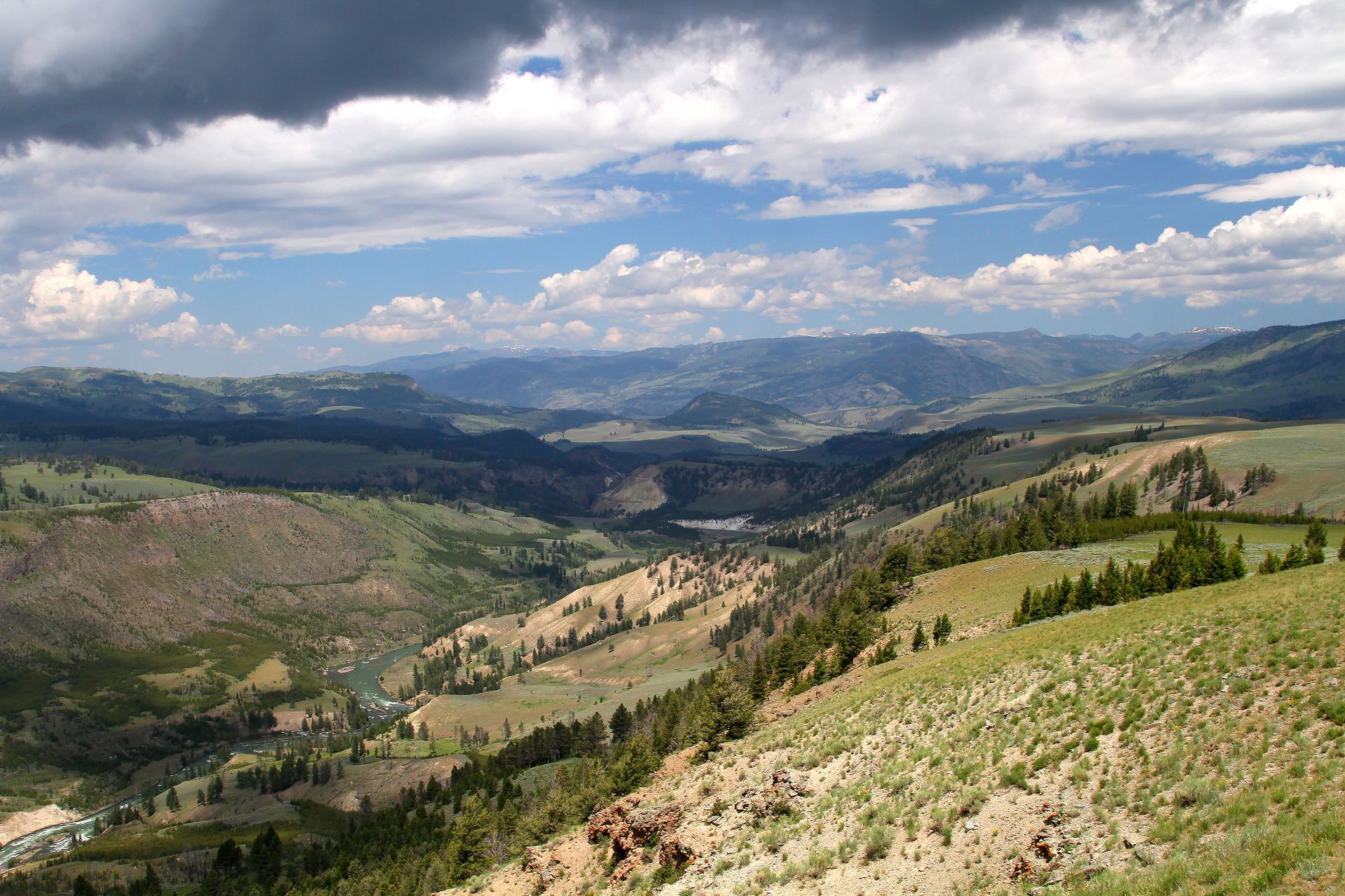 The Yellowstone River from the Agate Creek Trail in Yellowstone National Park.