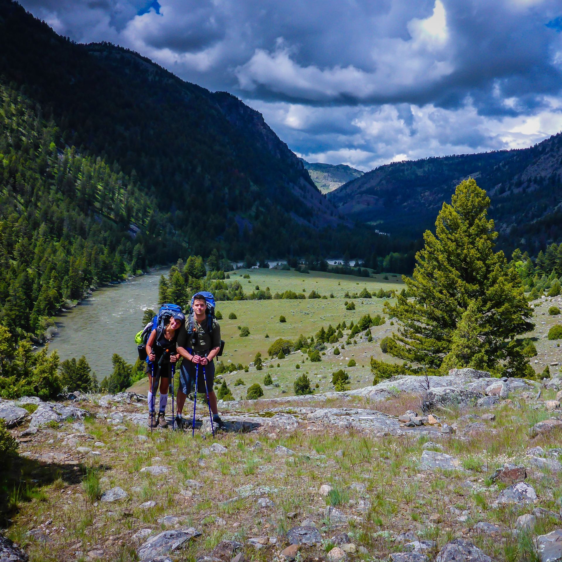 The scenic Yellowstone River carves its way through the Black Canyon in Yellowstone National Park.