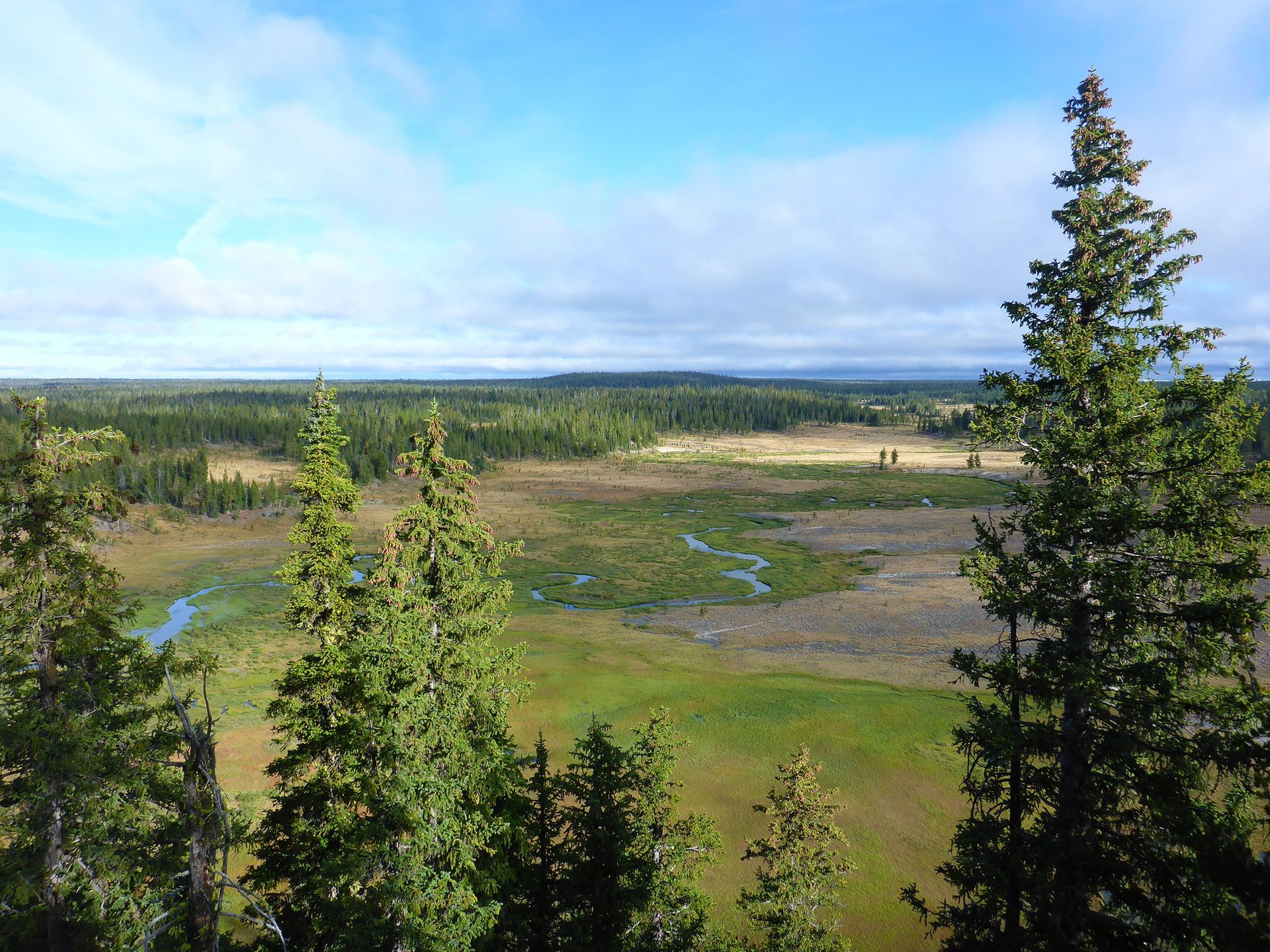 A small stream twists and bends through the open fields below Douglas Knob.