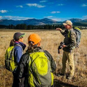Hayden Valley, Yellowstone Hikers in Yellowstone's Hayden Valley are given a brief overview of the area during their guided day hike.