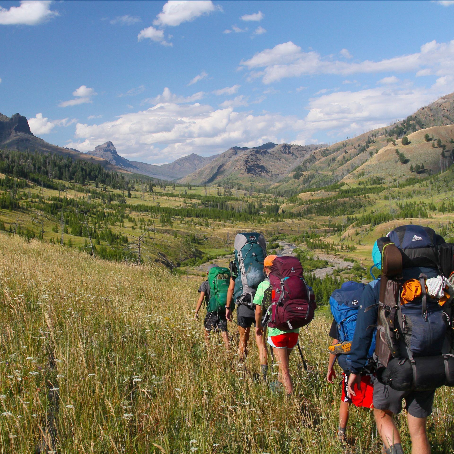 Cache Creek Trail, Yellowstone A family backpacking the Cache Creek Trail in Yellowstone.