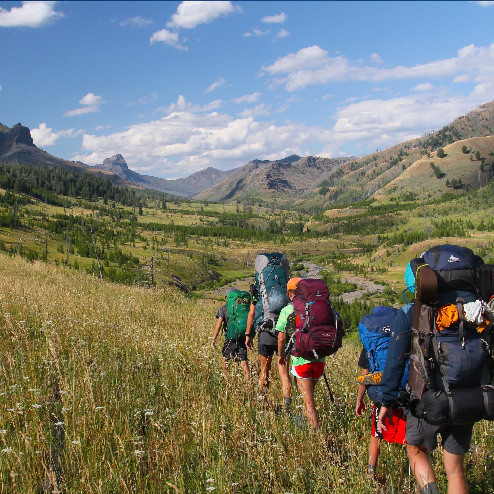Cache Creek Trail, Northeast Yellowstone Amphitheater Mountain and the rugged peaks of the Absaroka Range dot the horizon along the north end of the Cache Creek Trail in Yellowstone National Park.