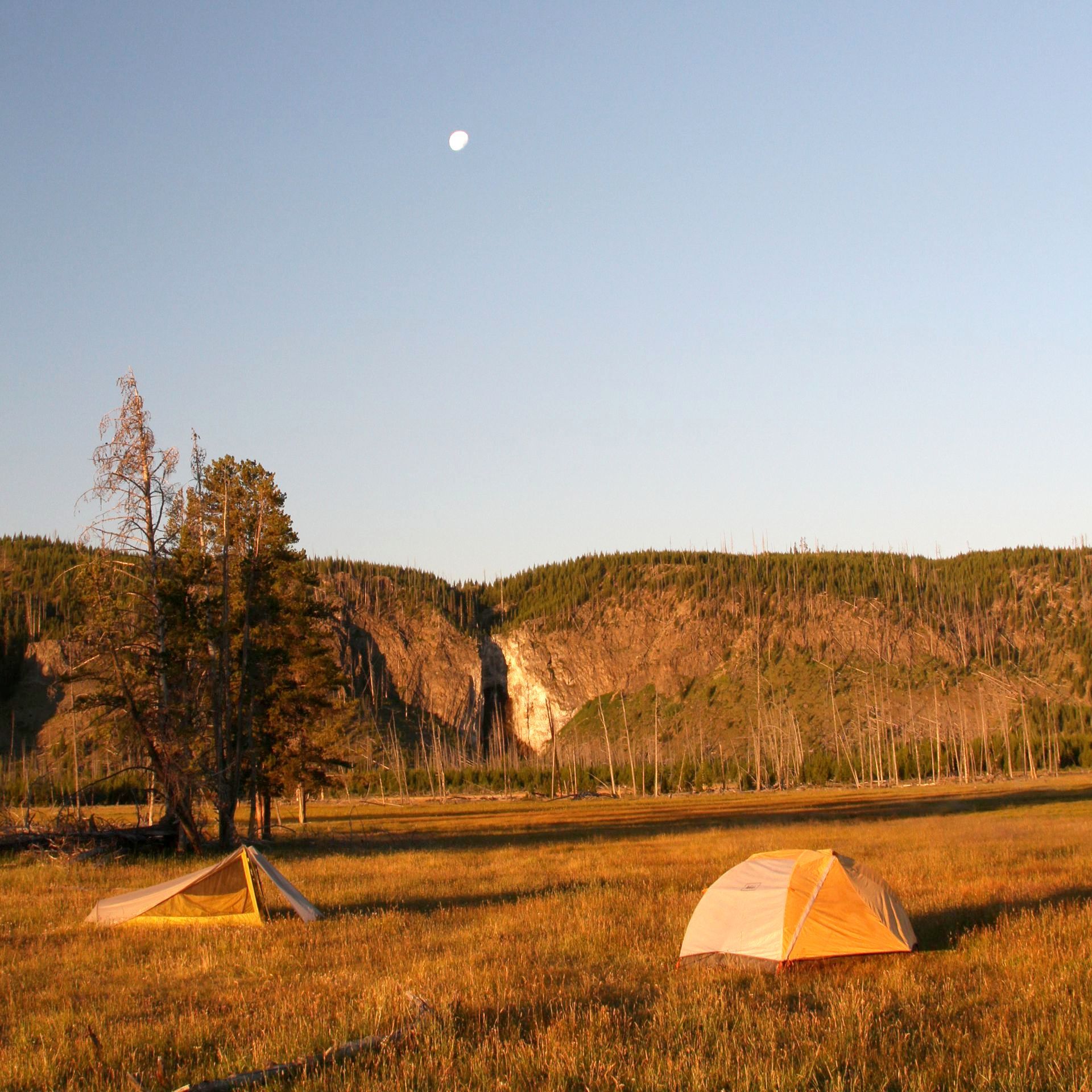 Fairy Falls Trail, Central Yellowstone The early morning sun fills a backcountry campsite with soft golden light as the moon rises over Fairy Falls.