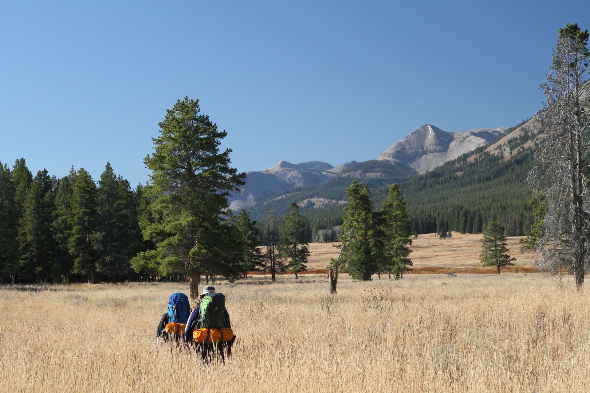 The Fawn Pass Trail provides backpackers with stunning views of the rugged Gallatin Range.