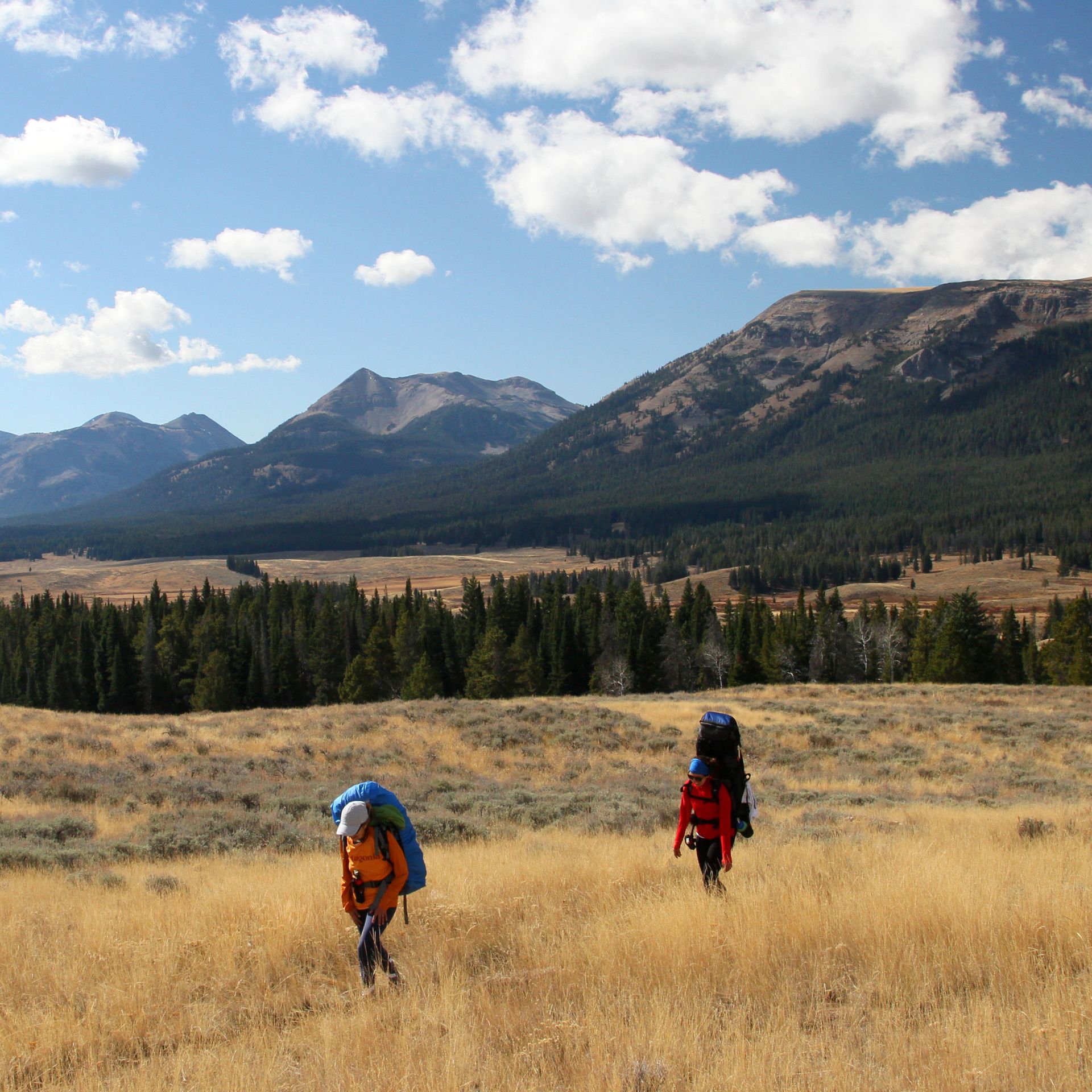 Fawn Pass Trail, Northwest Yellowstone Enjoying the Yellowstone backcountry on a crisp fall day.