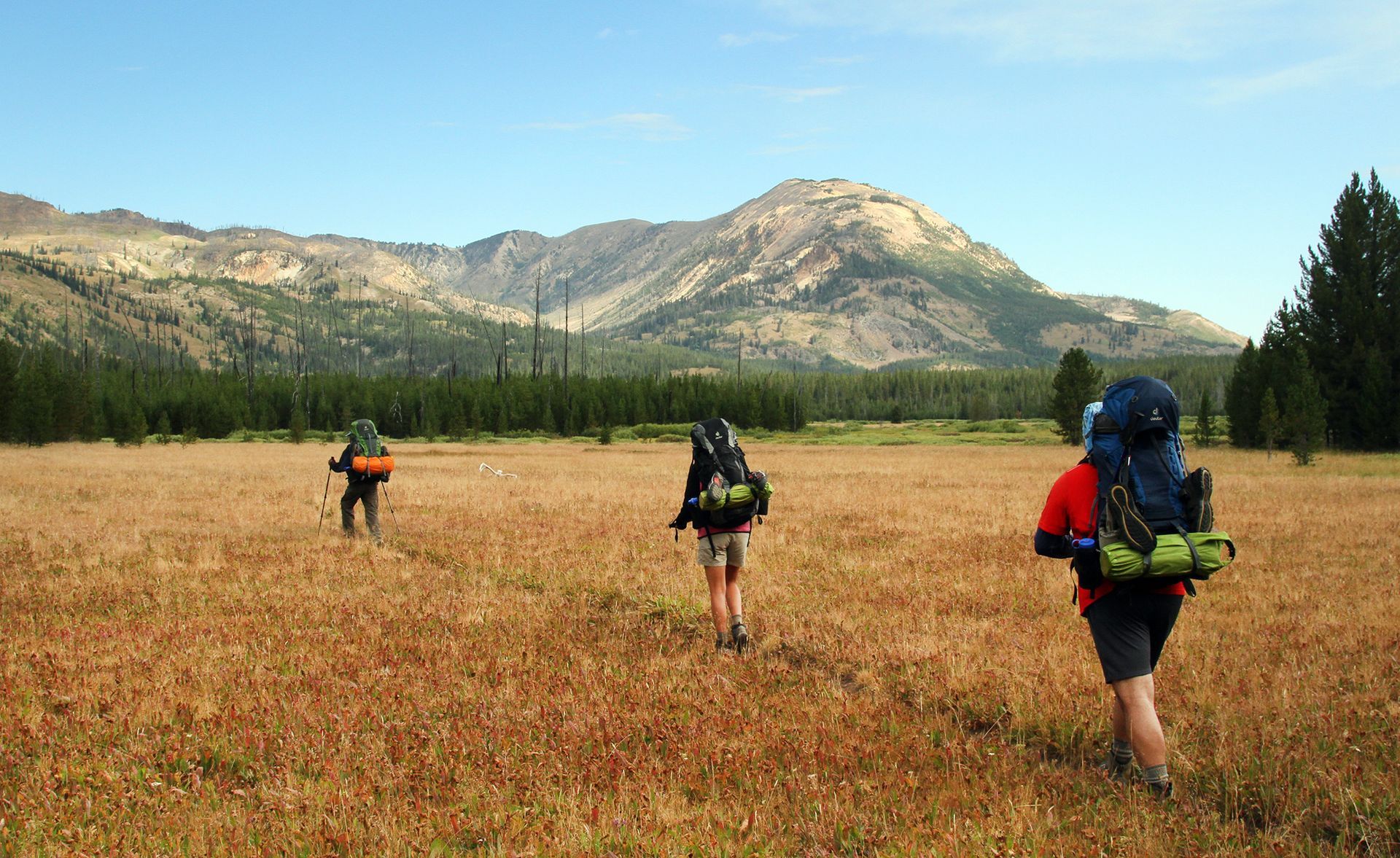 Backpacking in the Heart Lake Region of Yellowstone.