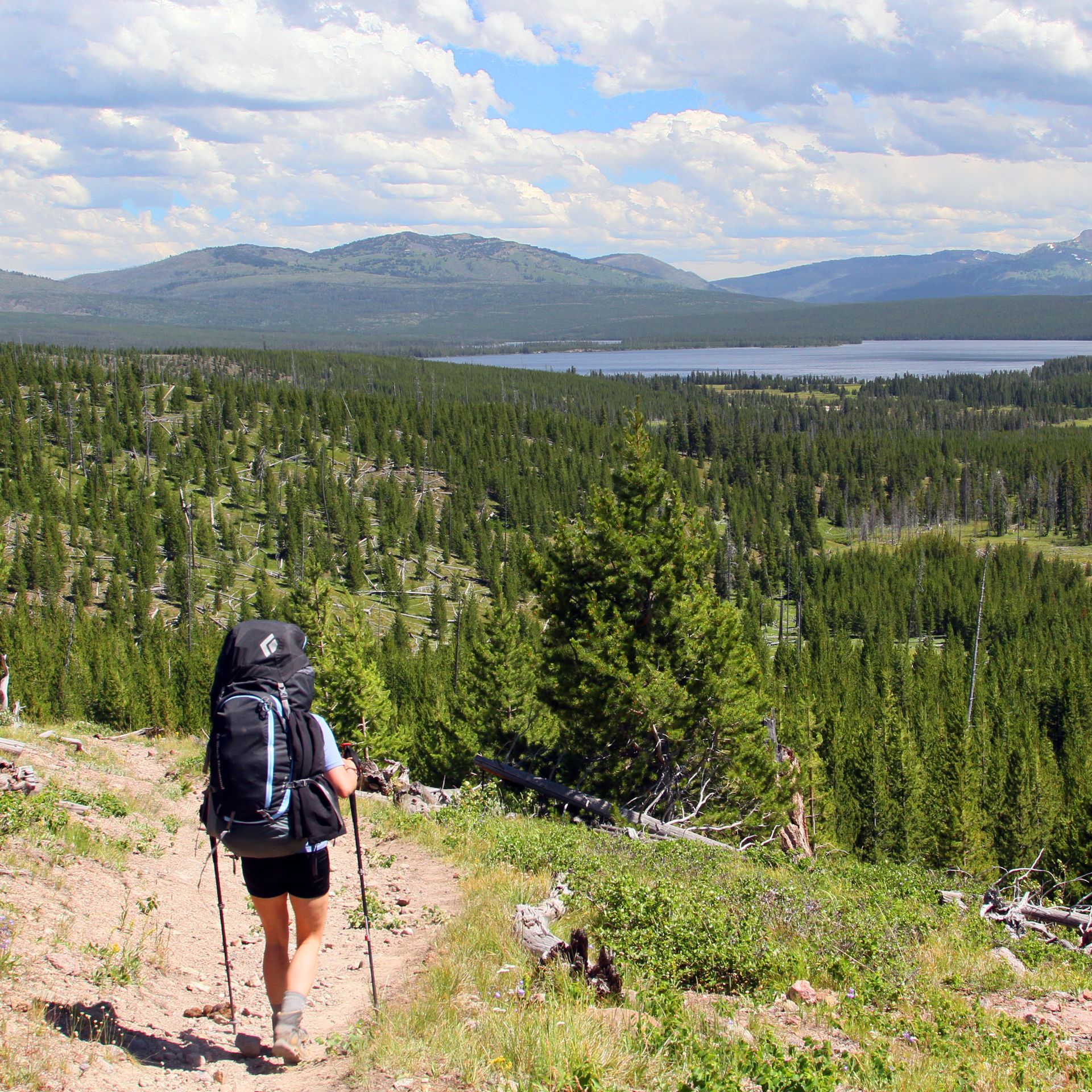Heart Lake Trail, South Central Yellowstone Backpackers make their way to a remote backcountry campsite beside Heart Lake in south central Yellowstone.