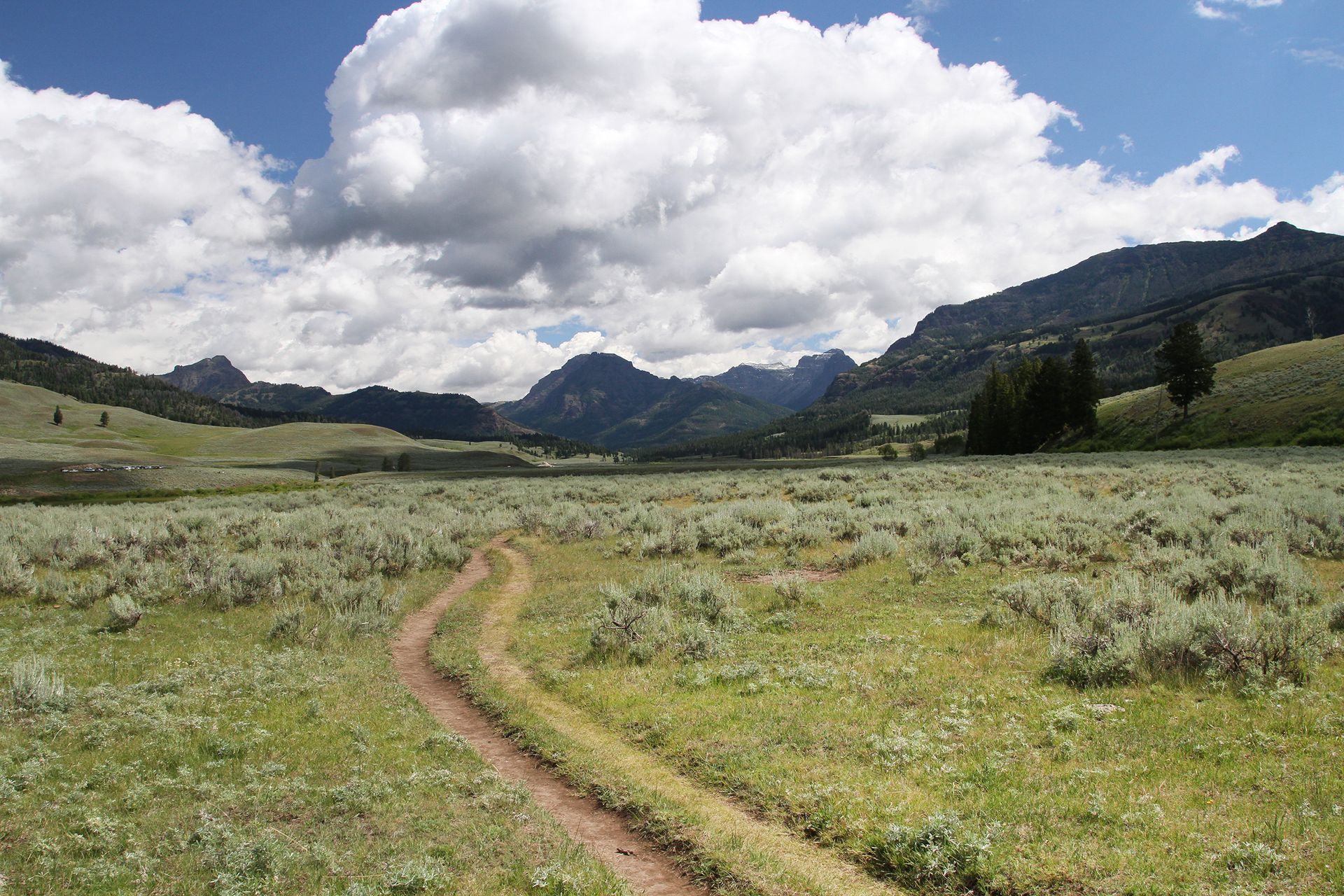 Day hikers in the Lamar Valley examine the discarded antlers from the many bull elk that frequent the hills above valley.