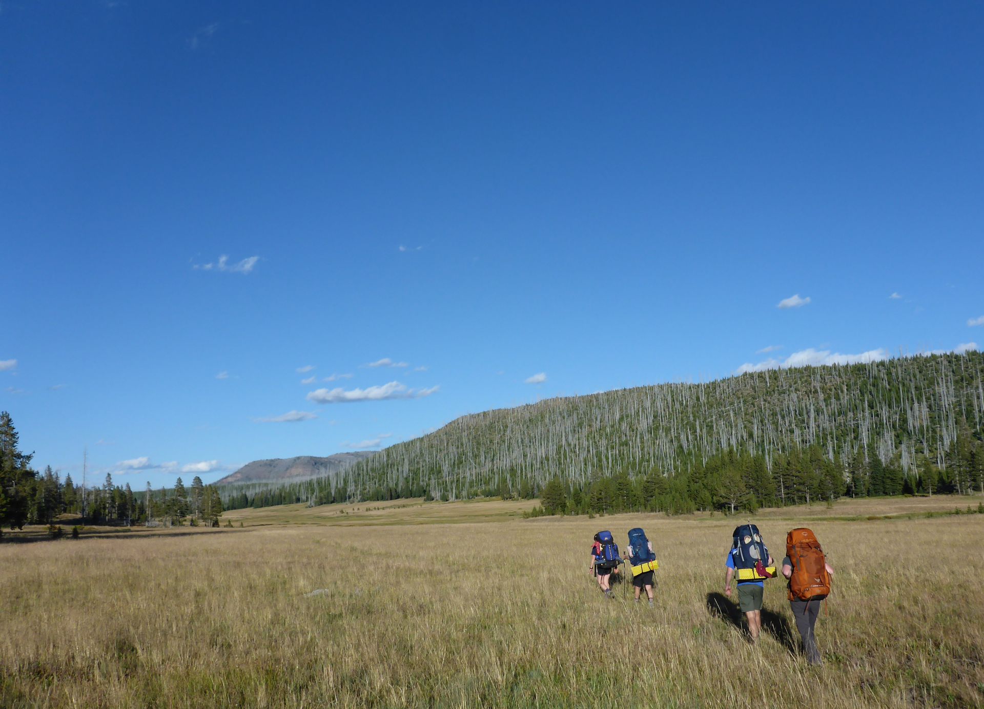 Backpackers traverse the Pelican Valley on crisp fall day.