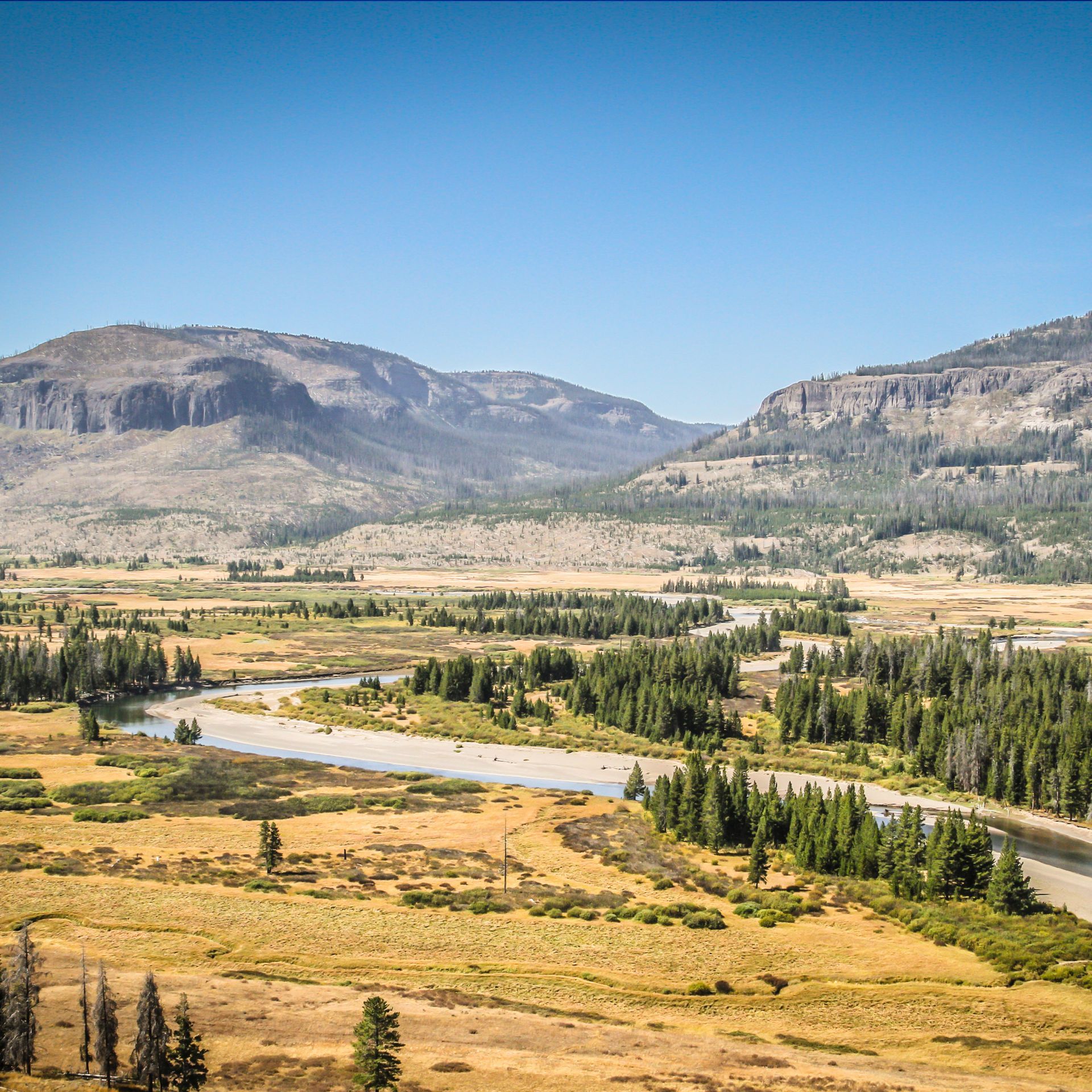 Yellowstone River, The Thorofare Region The Yellowstone River is dwarfed by the immense valley of the Thorofare Region in Yellowstone.