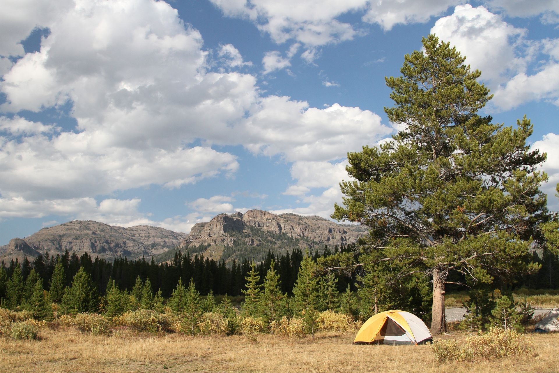 A remote campsite along Thorofare Creek provides backpackers with a true wilderness experience.