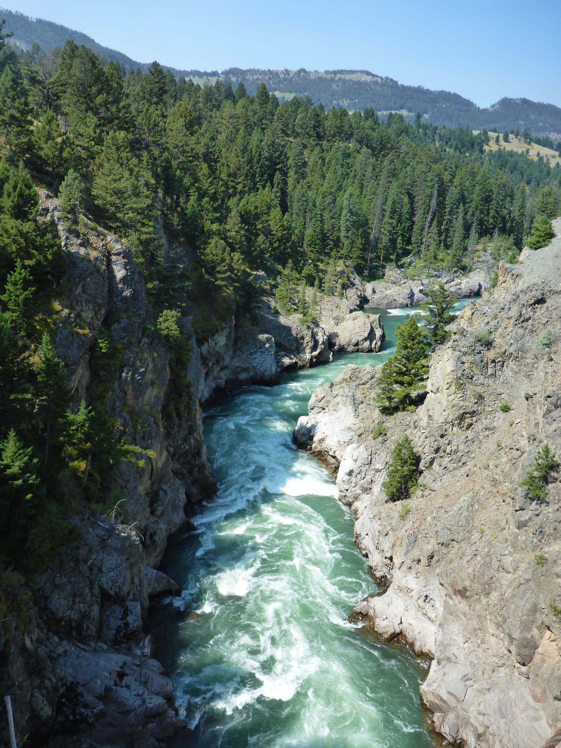The Yellowstone River carves a deep and narrow path through the Black Canyon of the Yellowstone.