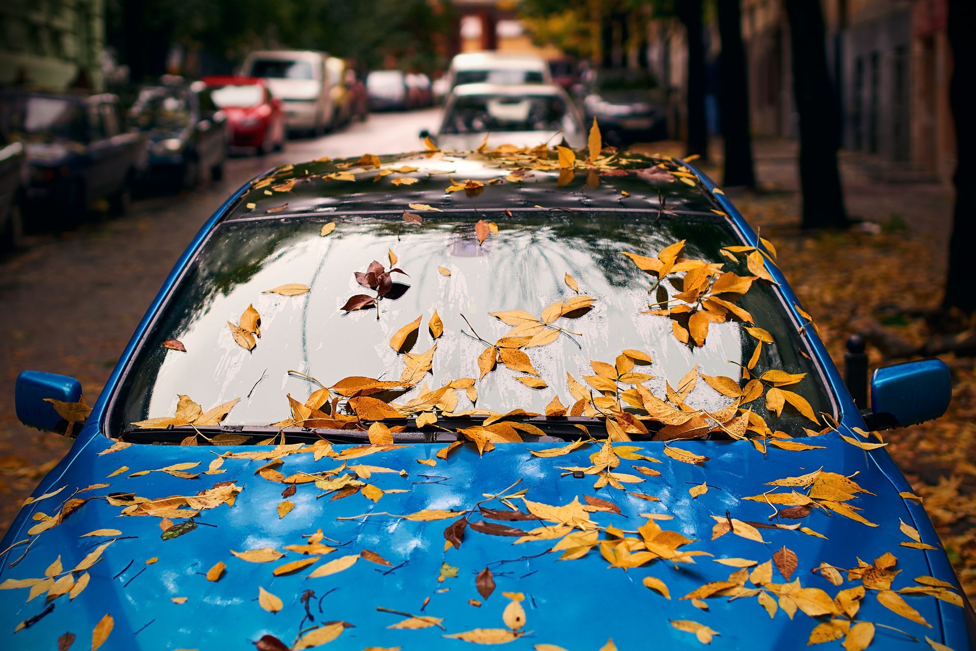 5 Car Maintenance Items You Can’t Skip This Fall | Cruz-N-Carz