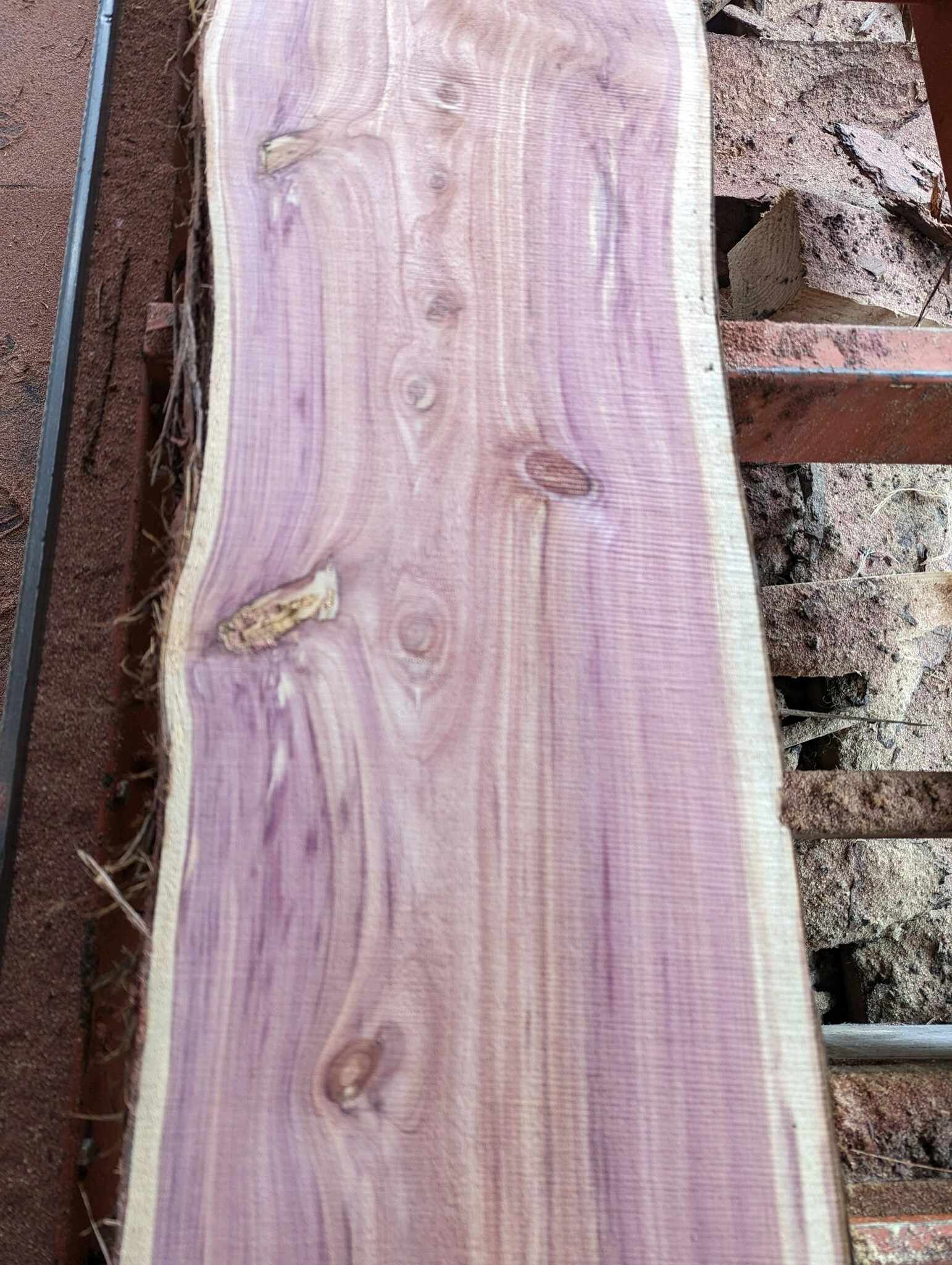 Ocala Fl Sawmill