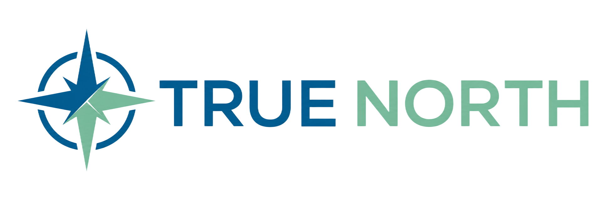 True North logo with teal compass icon and blue text on white background