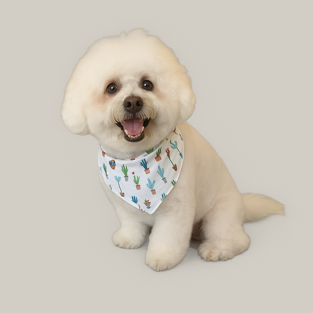 before and after dog hair cut