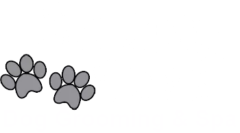 southern paws logo