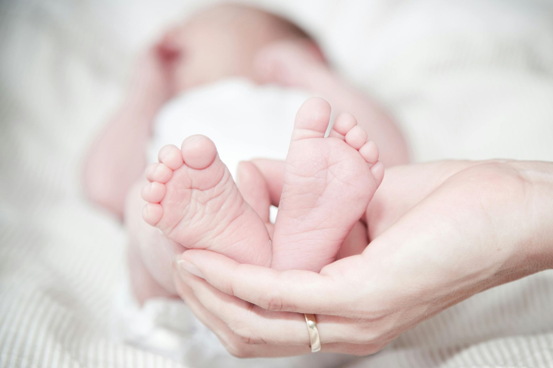 Person's hands cradling a baby's tiny feet, baby in soft focus, white background.