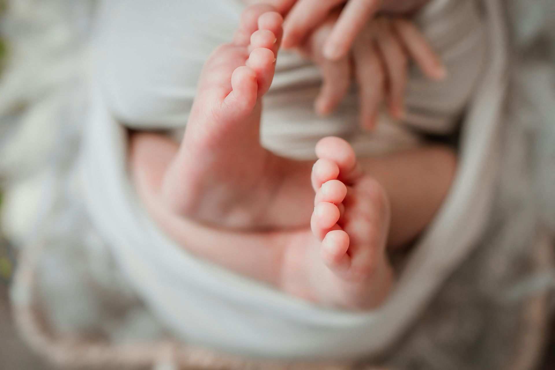Baby's tiny, pink feet and hands peeking out of a white blanket.