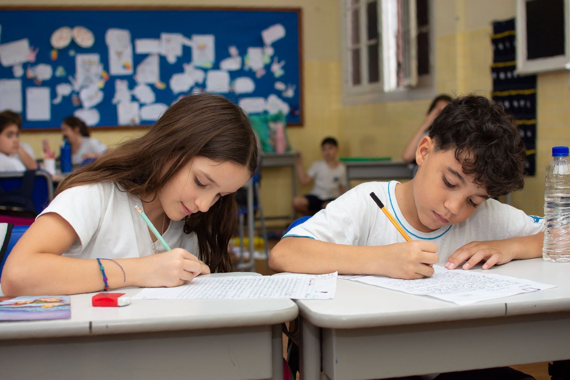 Colégio Stella Maris. Desenvolvimento integral, idiomas e certificações. Programas estendidos em Santos.