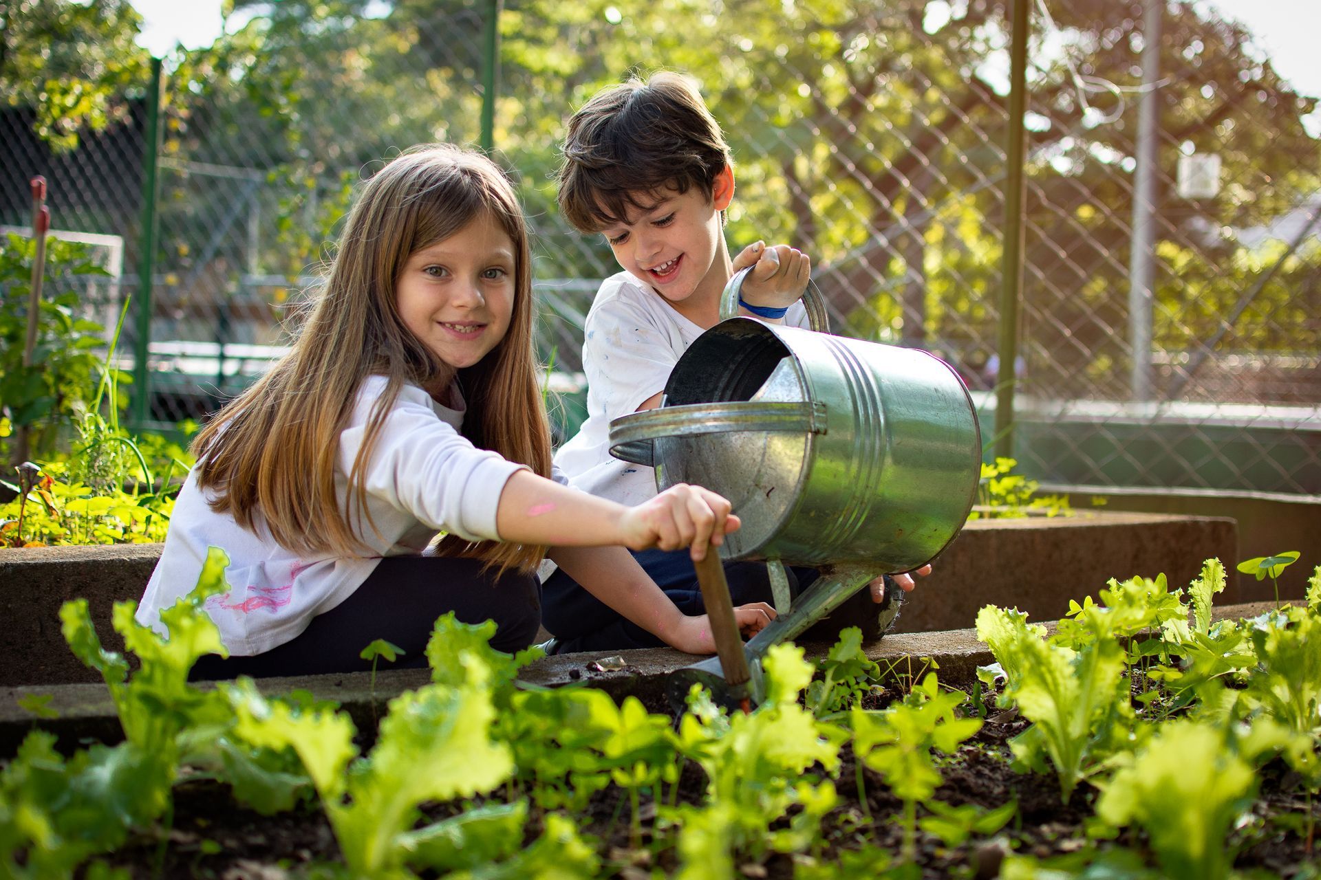 Colégio Madre Alix. Desenvolvimento integral e ensino de idiomas. Inglês e Francês.  Alunos, horta, natureza, verde.