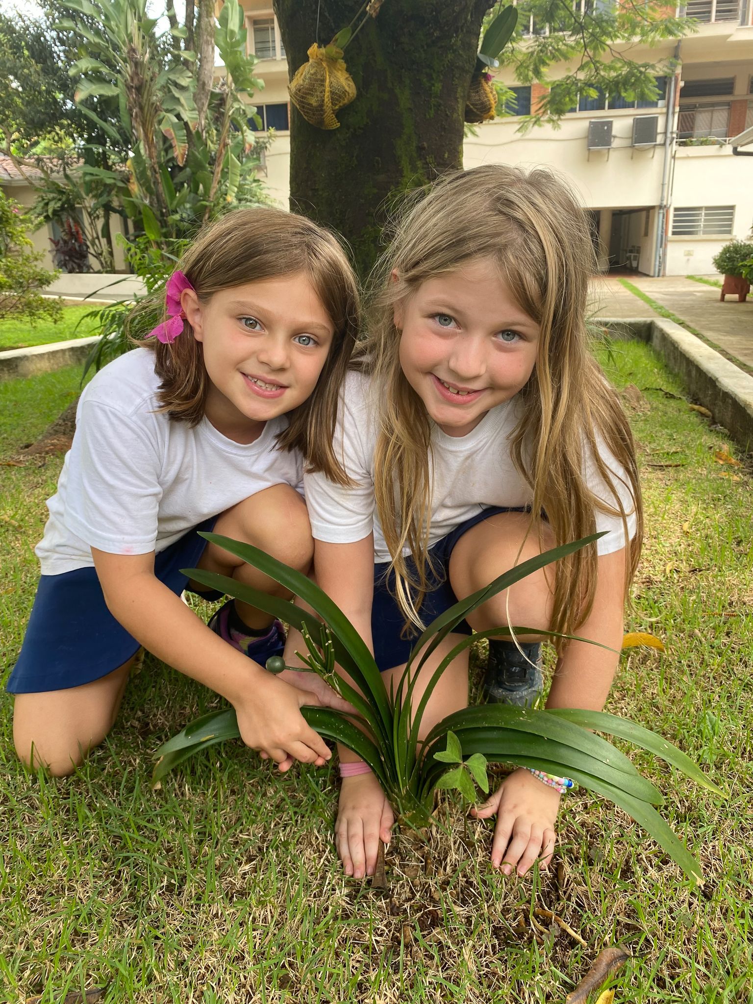 Colégio Madre Alix. São Paulo. Educação integral focada no desenvolvimento pessoal e valores éticos. Educação de excelência.
