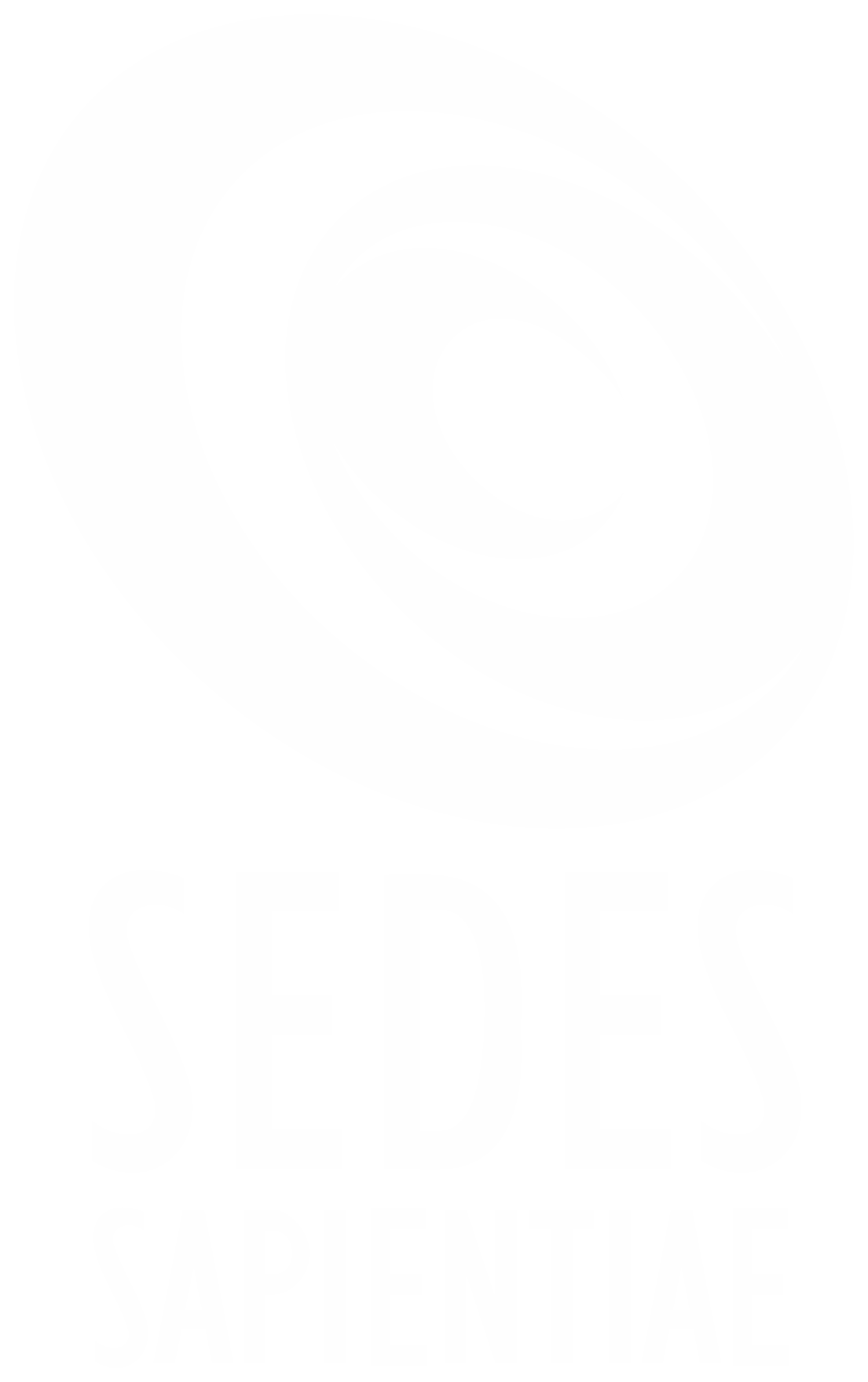 Colégio Stella Maris - Santos Logo Sedes