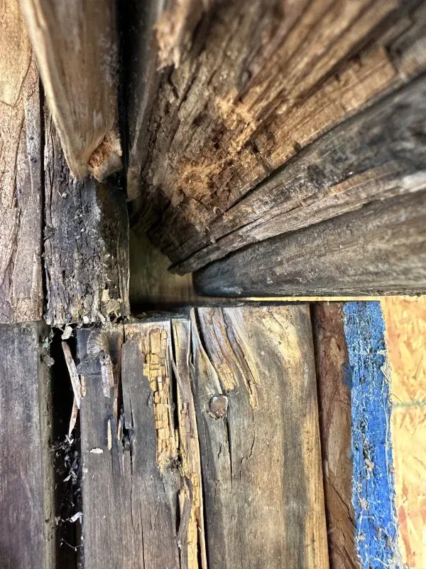 Close-up of severely deteriorated wooden door frame corner with crumbling, dark wood.