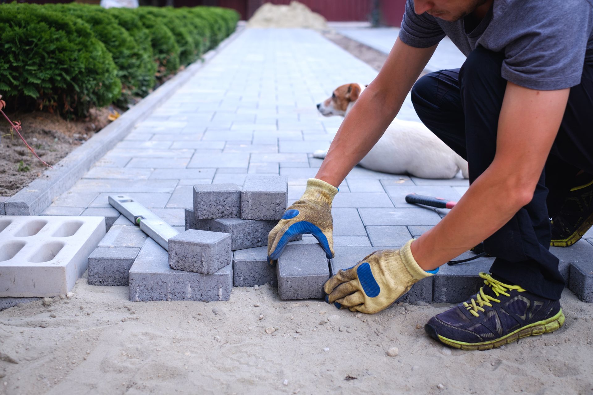 Person laying paving stones on a sandy surface, with a dog watching in the background.