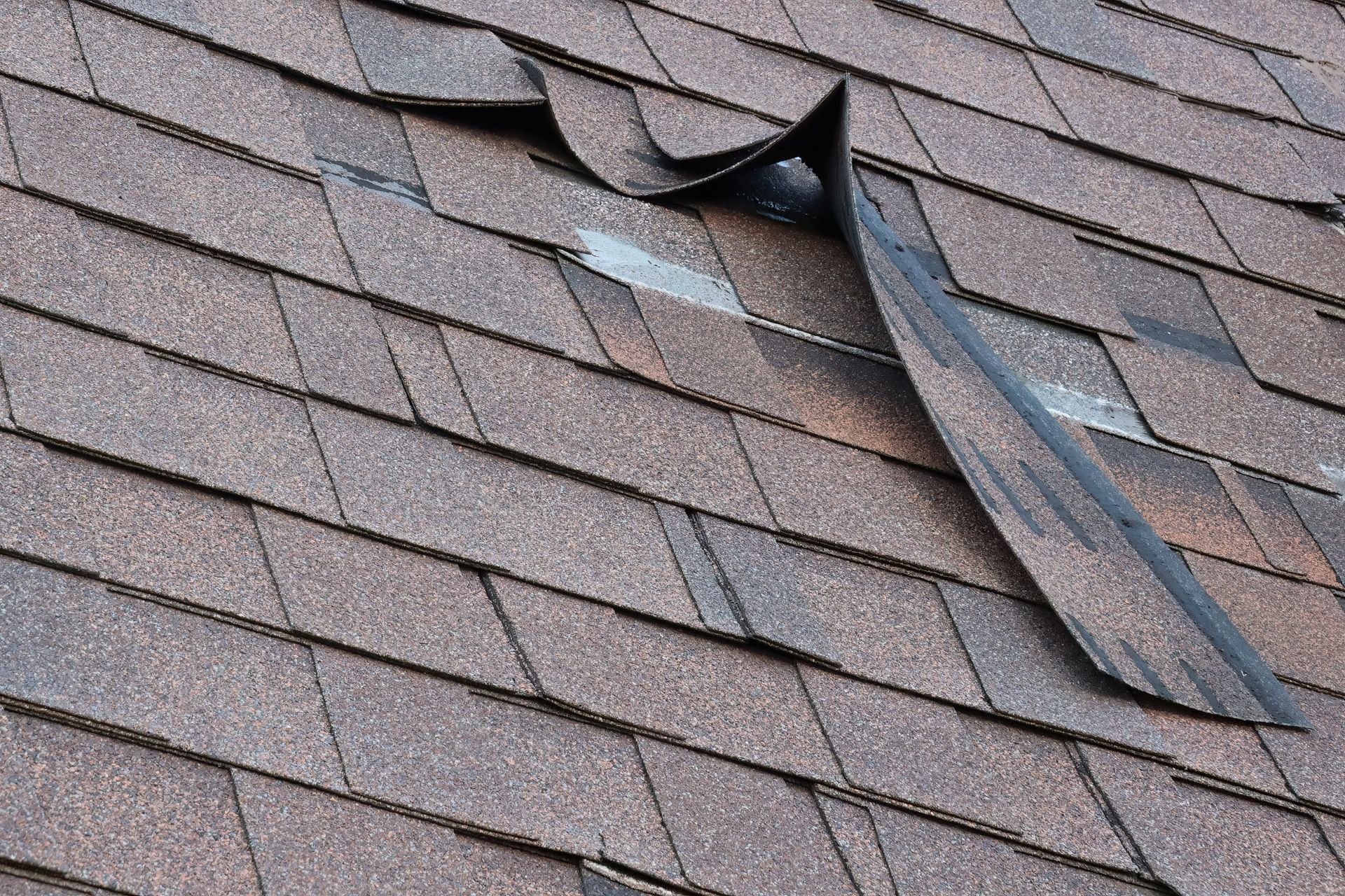 Damaged asphalt shingle roof with torn and curling sections.