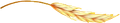 spiga