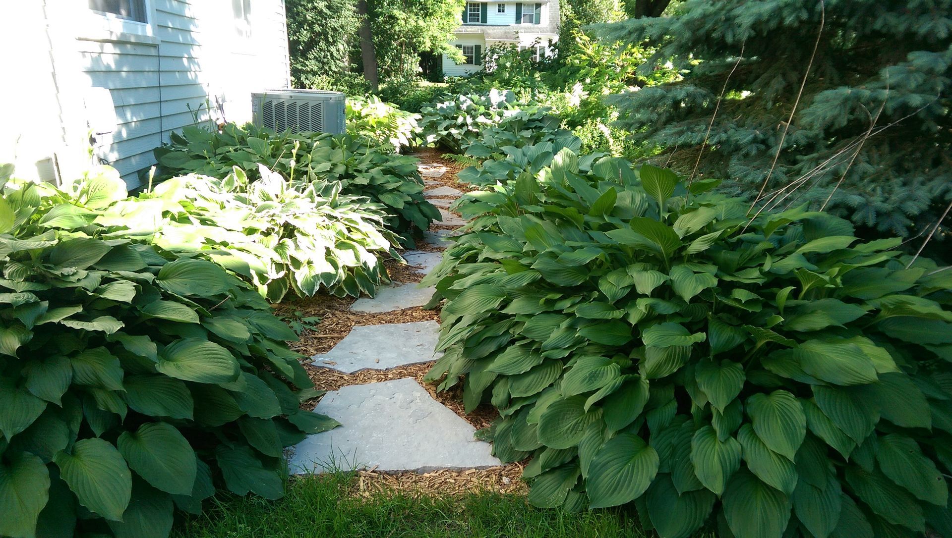 Natural Stone Steppers | Hasta | Mulch Bed