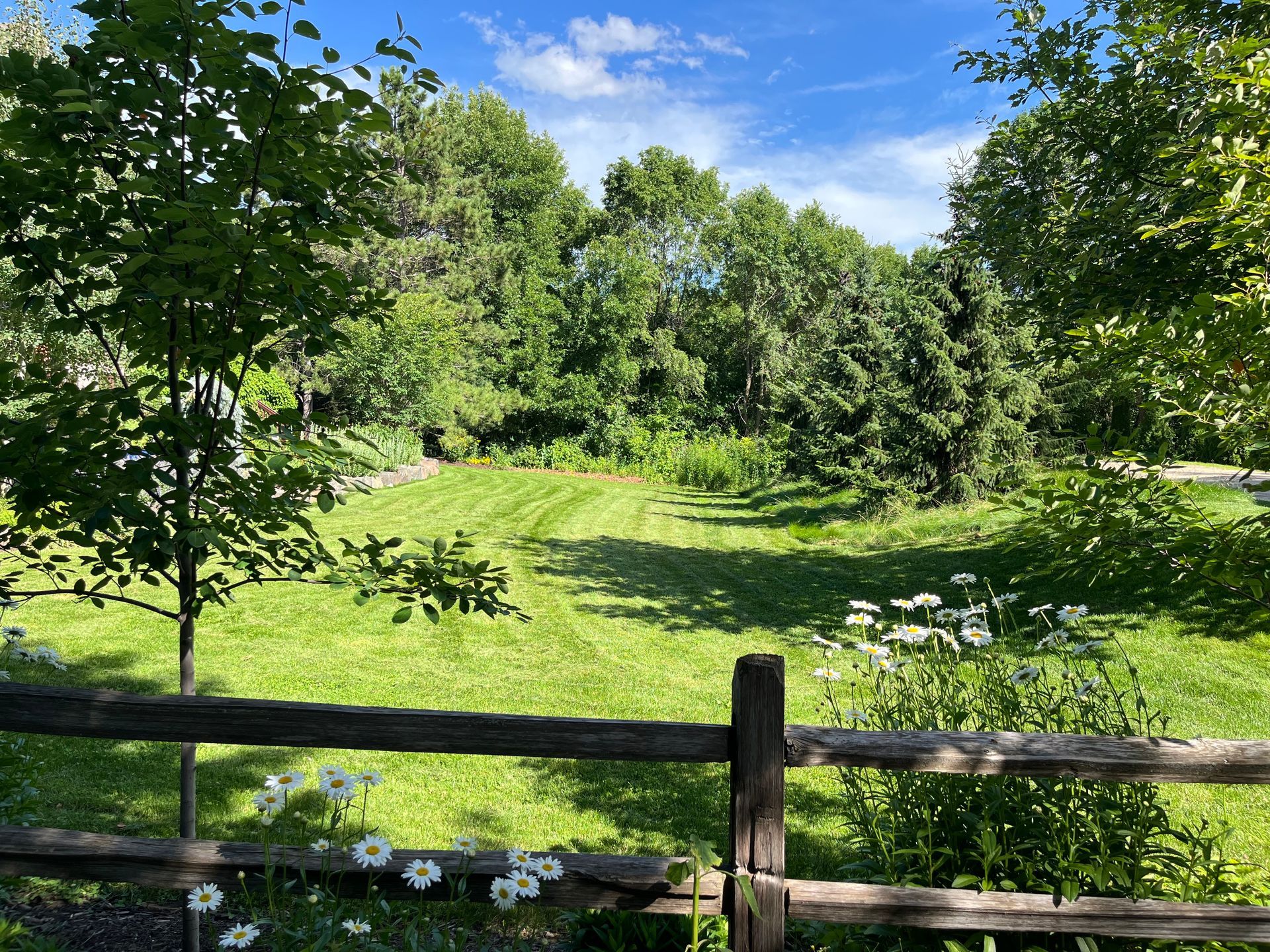 Lawn Care | Mowing | Native Flowers