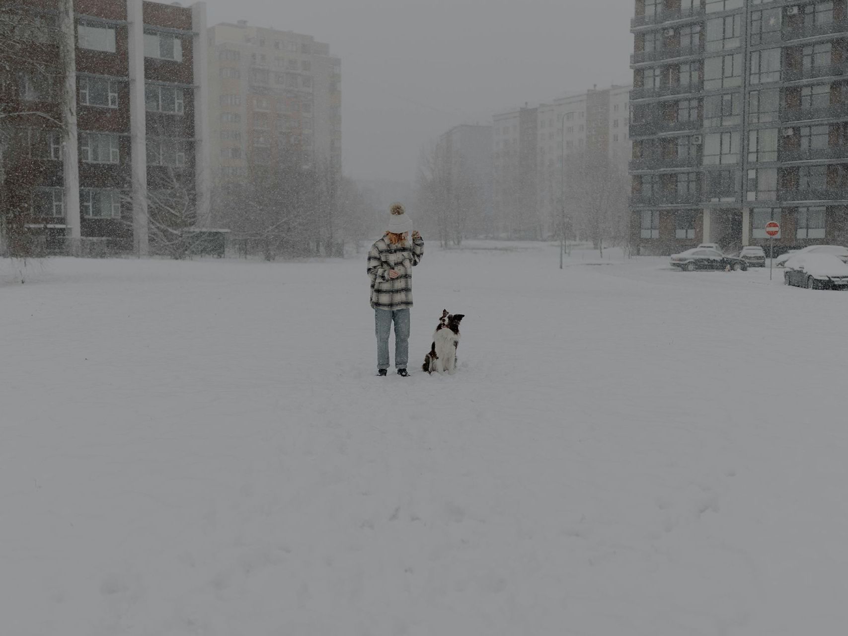 Commercial Snow Removal
