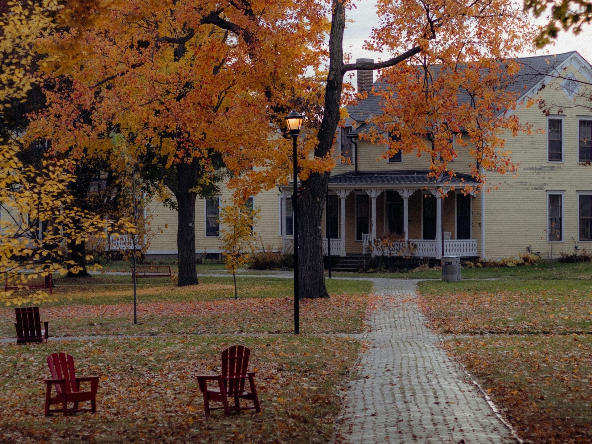 Leaf Pick-up | Landscape Maintenance