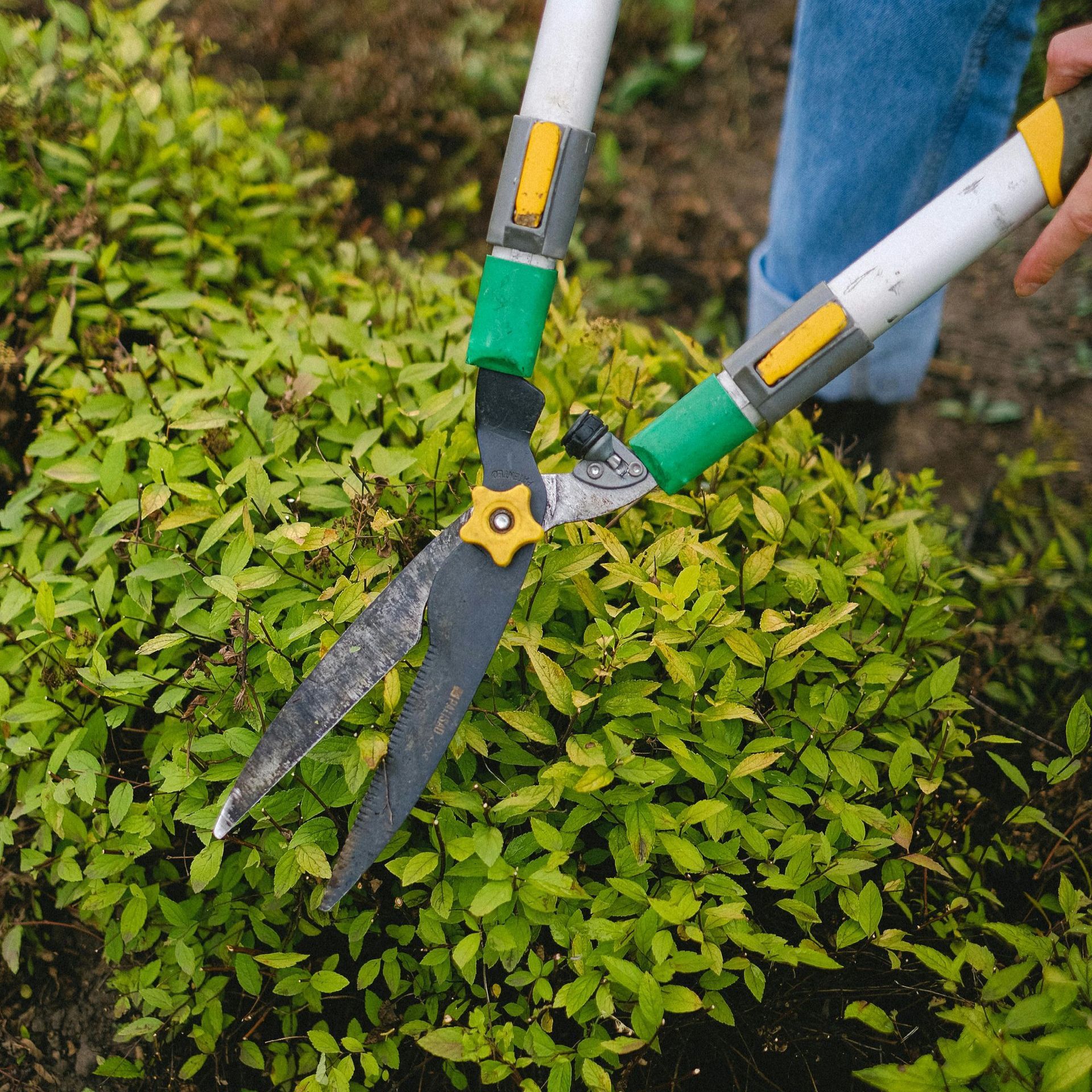 Seasonal Landscaping Maintenance