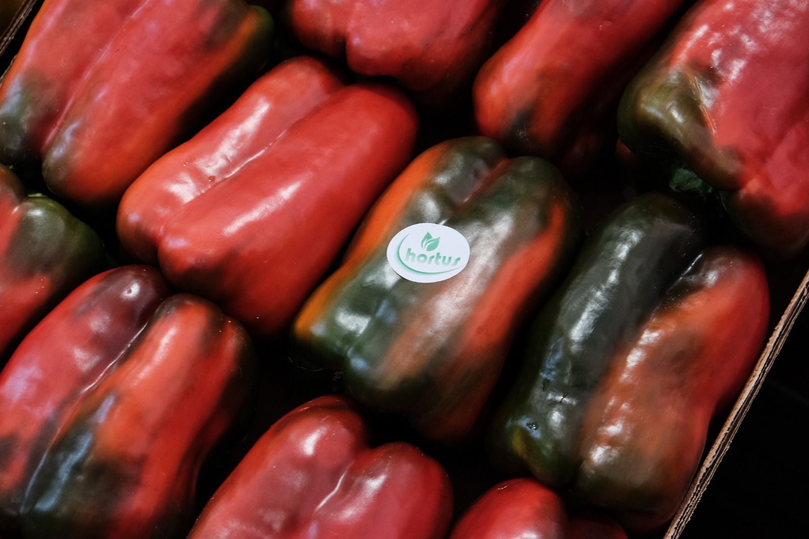 Red peppers