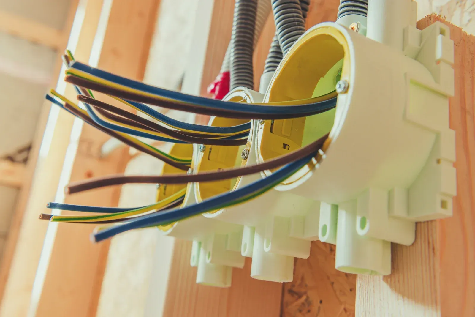 A bunch of wires are coming out of a box on a wall.