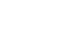 White background.