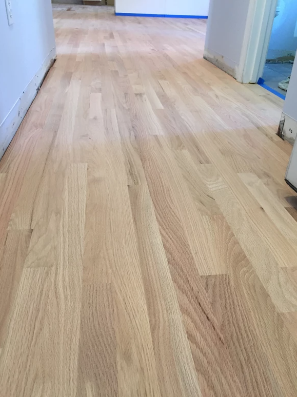 dustless sanding 23